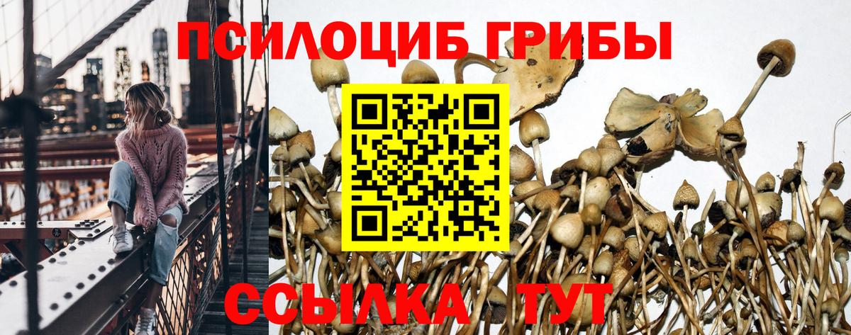 Биробиджан  Галлюциногенные грибы ЛСД  Вход с VPN 